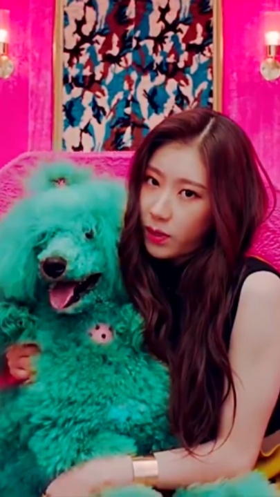 (DALLA DALLA) PMV 1V